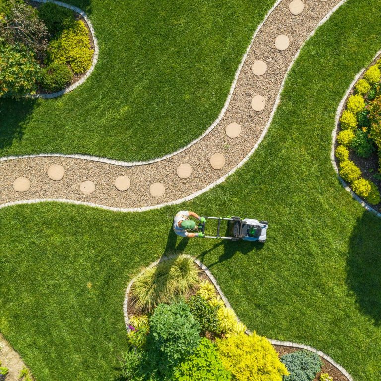 Rasenpflege Rasenmähen im Garten